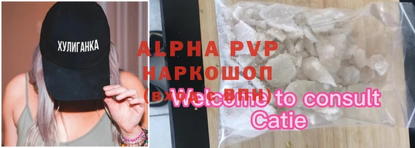 молекула духа Алексин