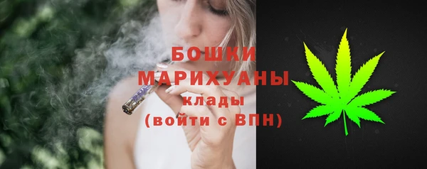 PSILOCYBIN Аркадак